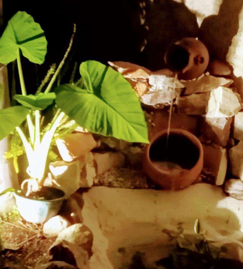 شقة Raiz Del Cielo, Entre 2 Jardines De Ensueno قرطبة المظهر الخارجي الصورة
