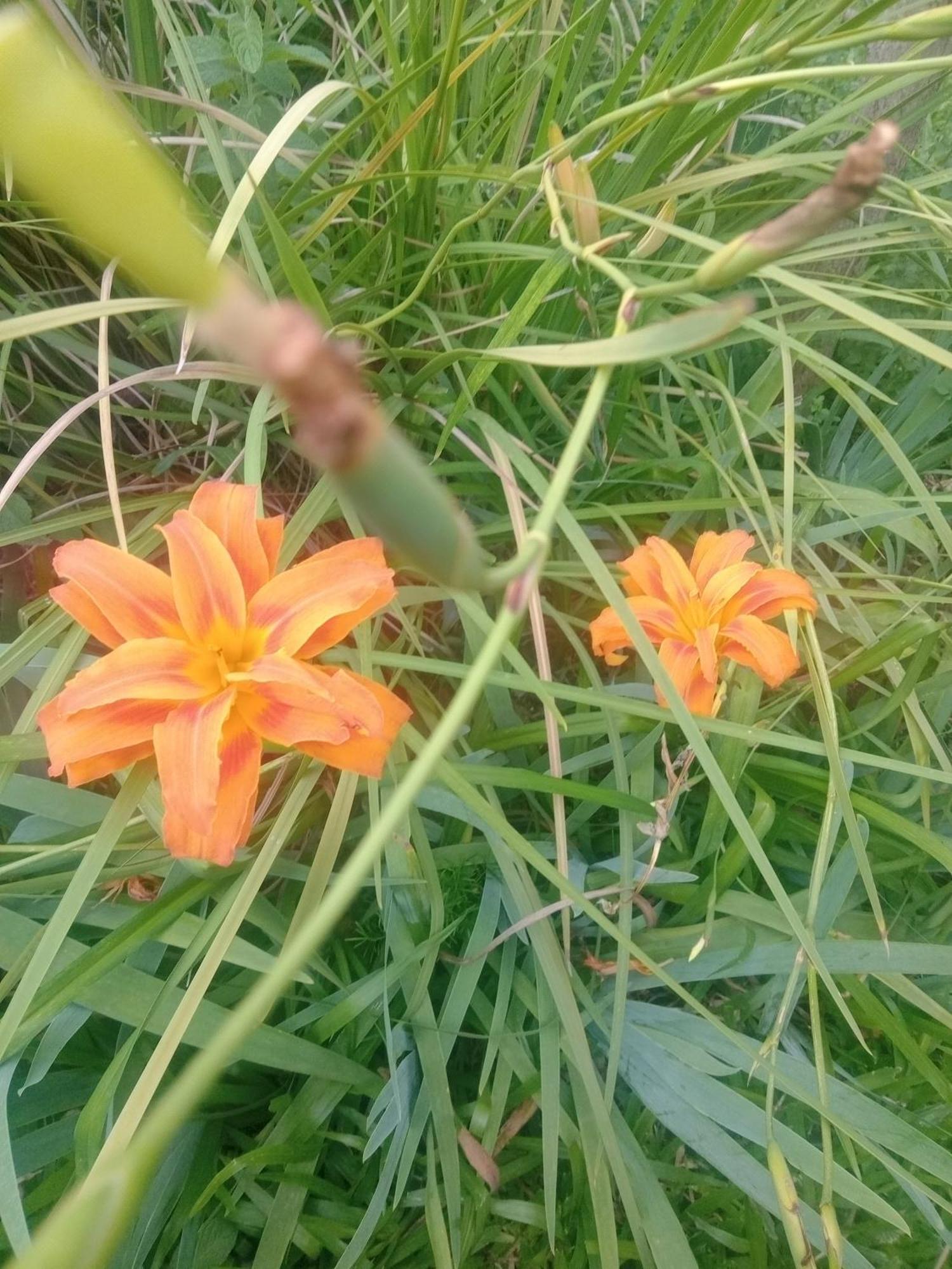 شقة Raiz Del Cielo, Entre 2 Jardines De Ensueno قرطبة المظهر الخارجي الصورة